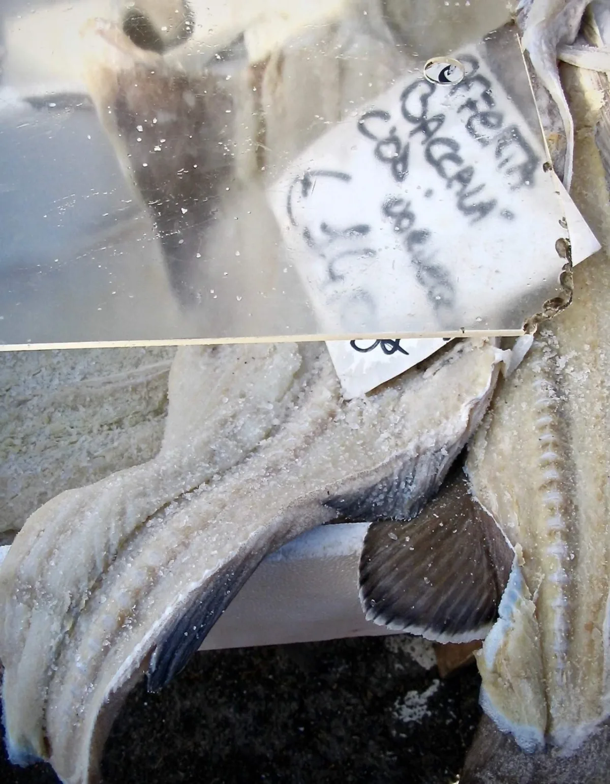 Cod Fish Vicentina Style